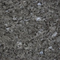 Granit Labrador GT